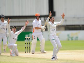 Dolphins cricket