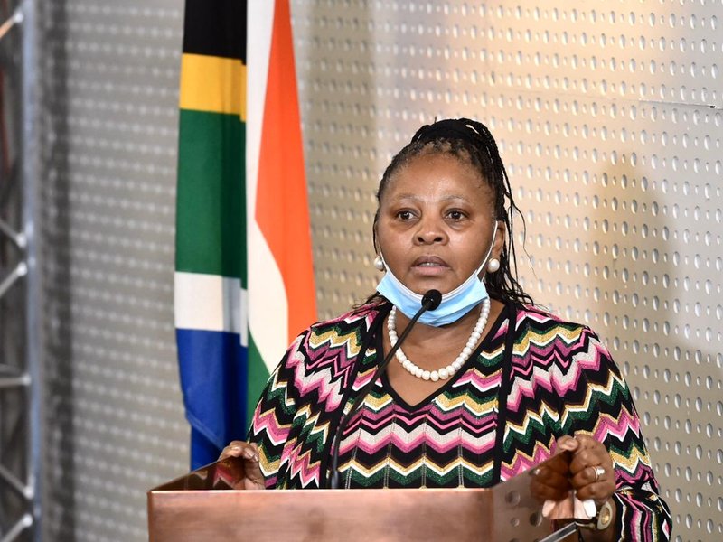 Defence Minister Nosiviwe Mapisa-Nqakula  on SANDf and death of Alex man
