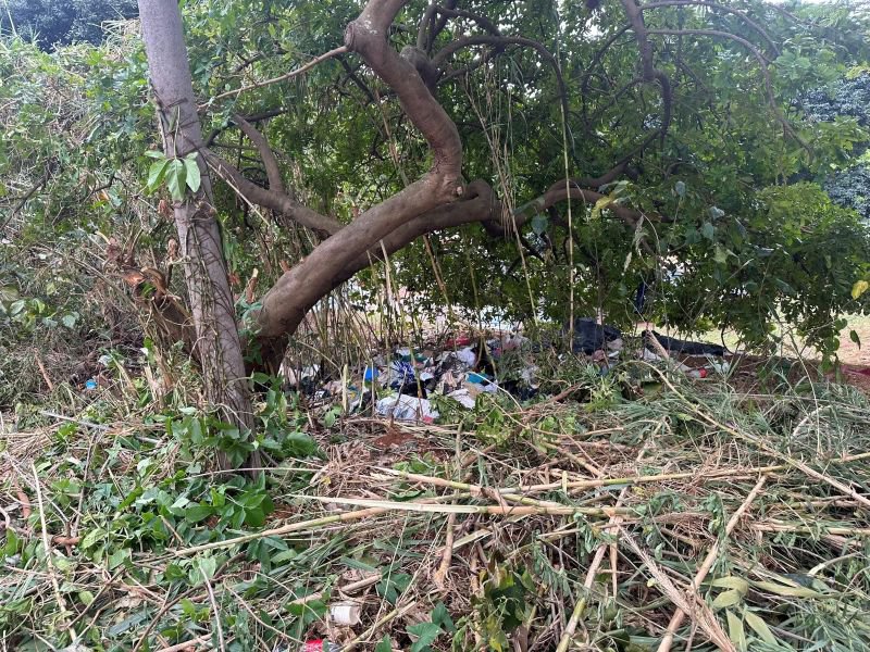 Umhlanga councillor urges solutions after removal of occupiers near freeway