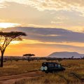 Kruger National Park