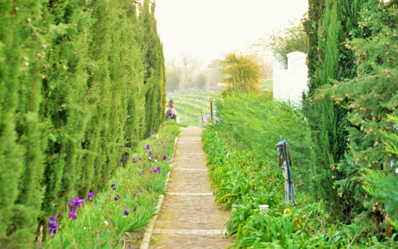 Val du Charron vineyard path