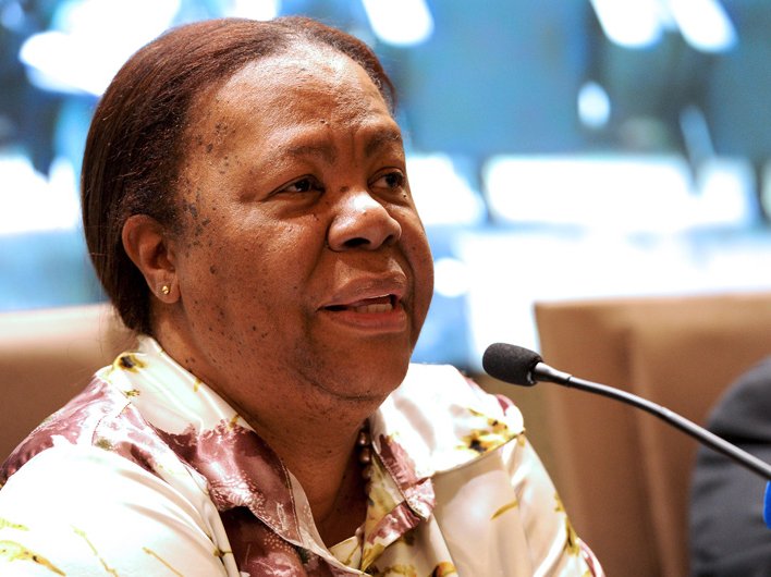 Naledi Pandor_gcis