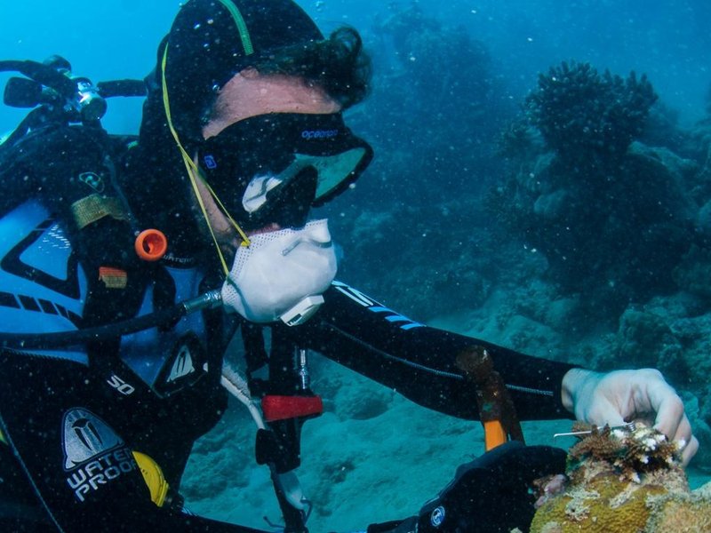 Reef