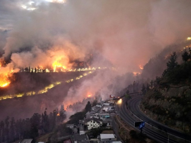 Wildfires