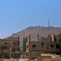 AFP SyriaConflict