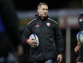 Johan Ackermann is the man named as the new coach of the Bulls