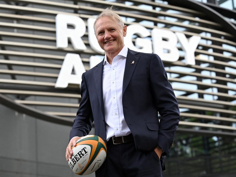Joe Schmidt Wallabies