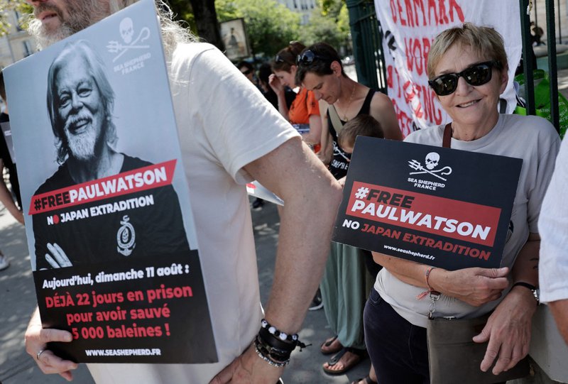 Fishing arrest environment