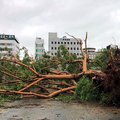 Hundreds seek shelter as Typhoon Podul nears Taiwan