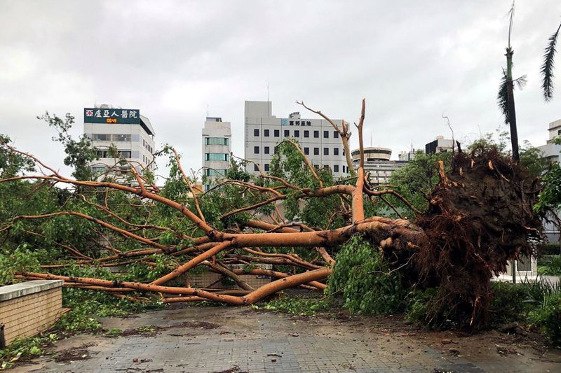 Hundreds seek shelter as Typhoon Podul nears Taiwan