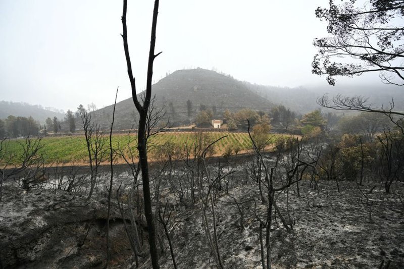 French firefighters optimistic after controlling vast wildfire