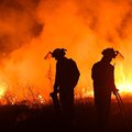 Greece battles wildfire outside Patras
