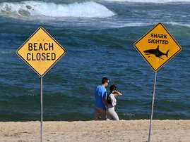 Visitors walk along the shoreline as northern Sydney beaches remain closed following a suspected shark attack at Long Reef