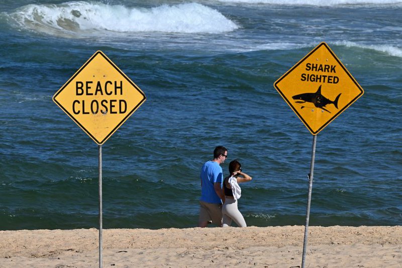 Visitors walk along the shoreline as northern Sydney beaches remain closed following a suspected shark attack at Long Reef