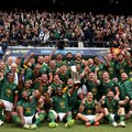 Springboks Championship