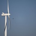 South Africa seeks to save birds from wind turbine risks