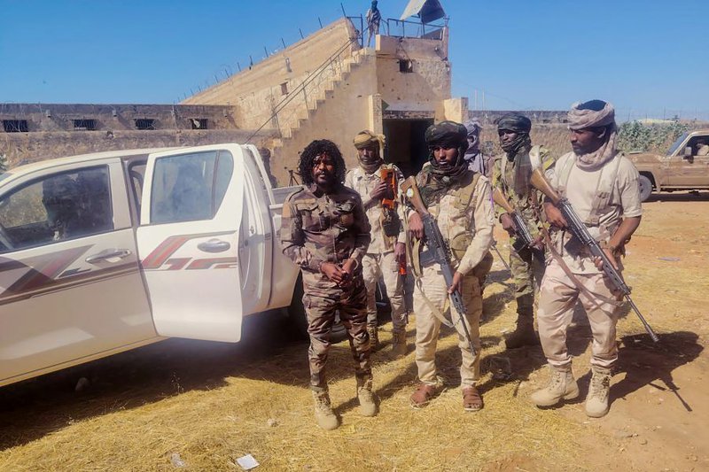 Sudanese Rapid Support Forces (RSF)