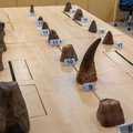 National Parks Board of Singapore shows rhinoceros horns seized by authorities in Singapore
