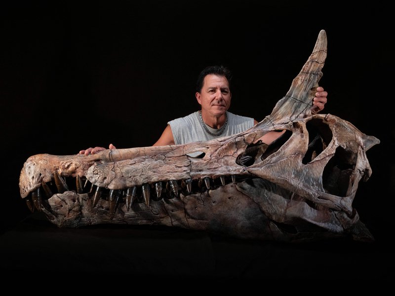 giant bird-like dinosaur
