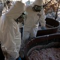 Drug cartel in South Africaa AFP