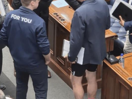 ALAN WINDE BICYCLE SHORTS