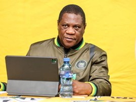 Paul Mashatile convoy shooting