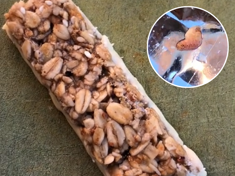 A Jungle Oats Granola Bar with a maggot