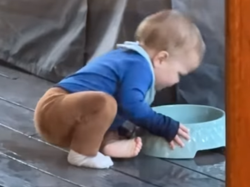 A baby is about to drink from the dog's watering bowl