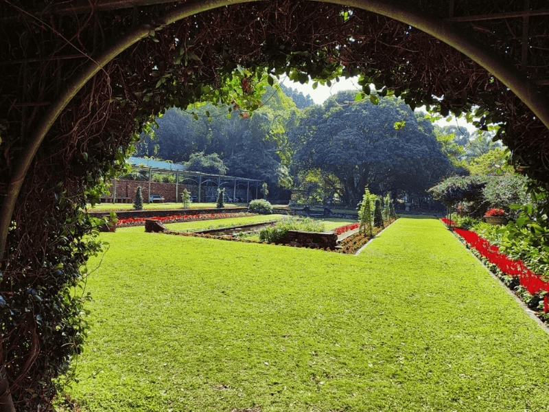 A beautiful view of the Durban Botanical Gardens