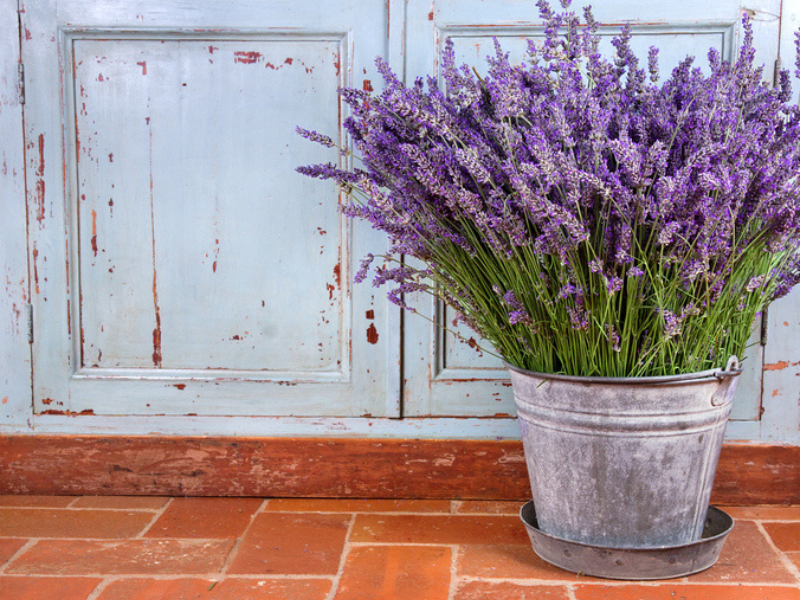 A bouquet of lavender in a rustic setting