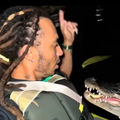 A couple kayaking come across an alligator