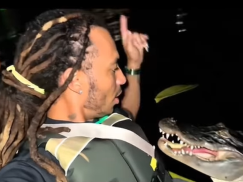 A couple kayaking come across an alligator