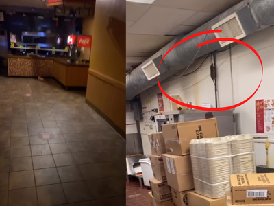WATCH: Would you go to a restaurant that was infested with rodents?