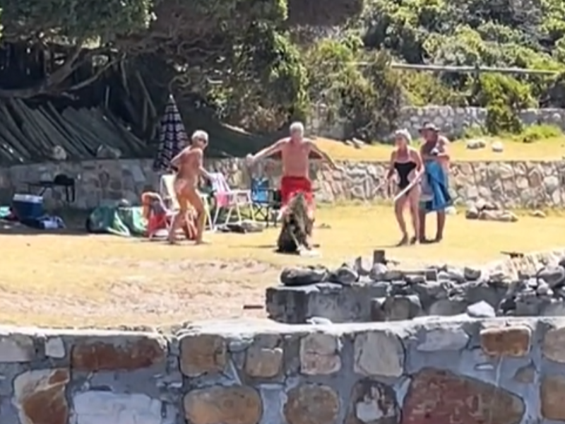 A family near the beach stand back as Baboon gets too close