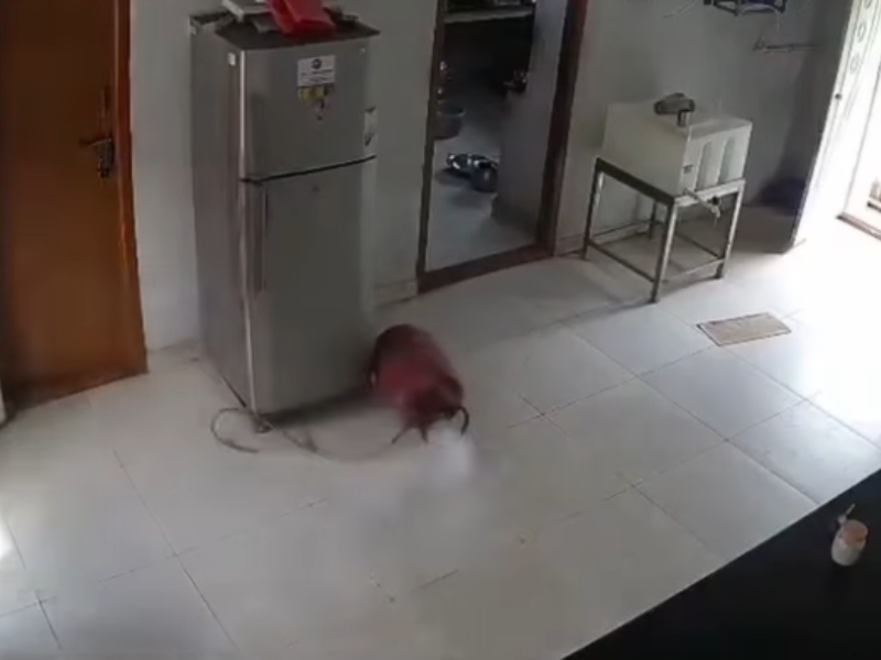 A gas cylinder is left open inside a kitchen