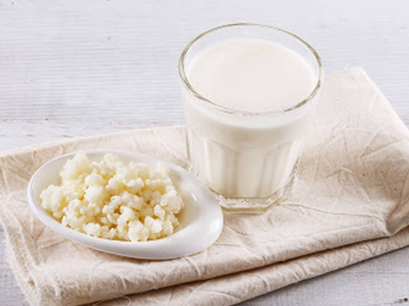 A bowl of yoghurt and a plate of Kefir