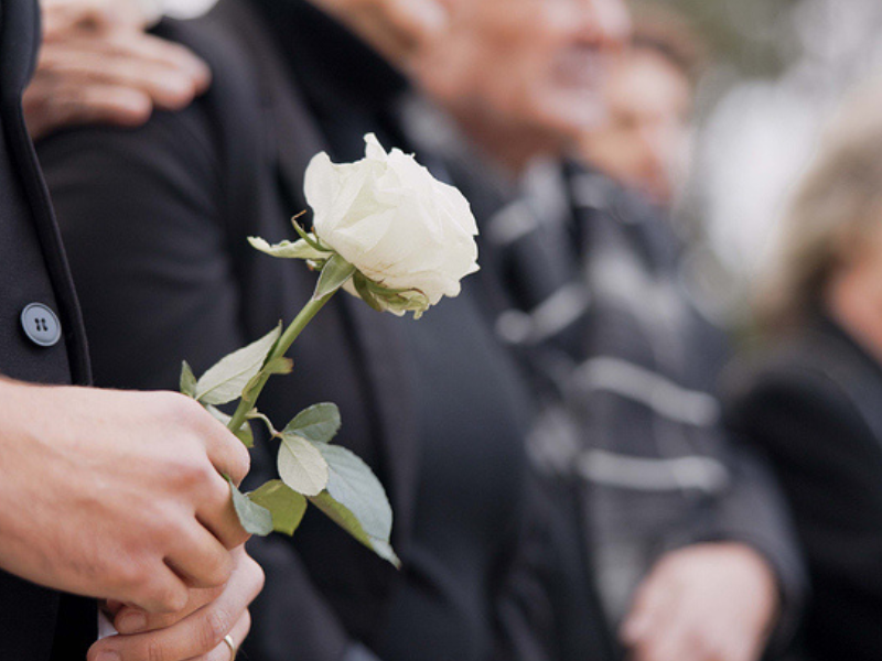 A hand holding a rose and placing it on a casket