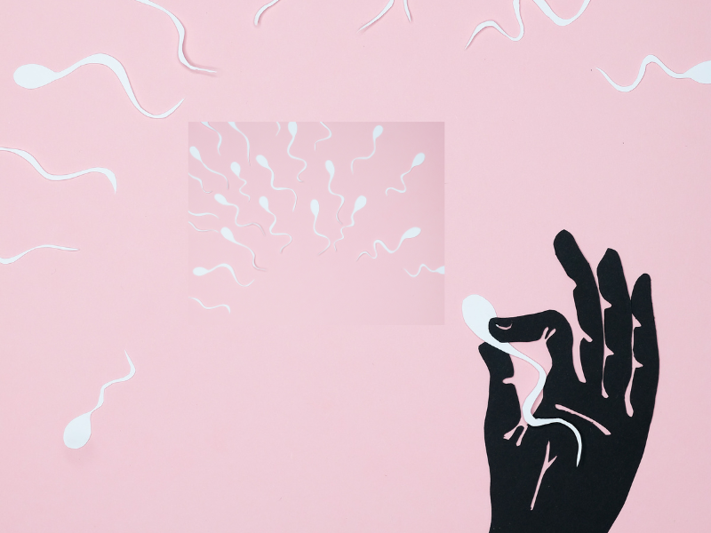 A hand holding a sperm on pink background