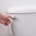 Hand press and flush toilet cleansing lifestyle