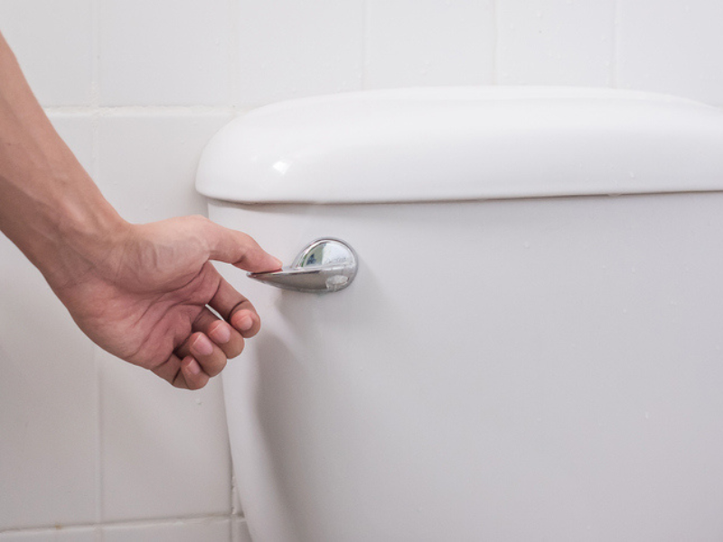 A hand presses and flushes the toilet