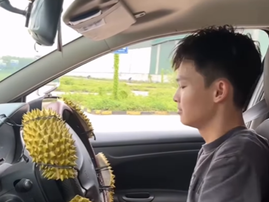 A learner driver driving a car with jackfruit peel attached to the steering wheel