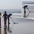 A man catches a snake at the Durban beachfront
