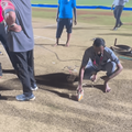 A man irons the cricket pitch to get it dry before a game
