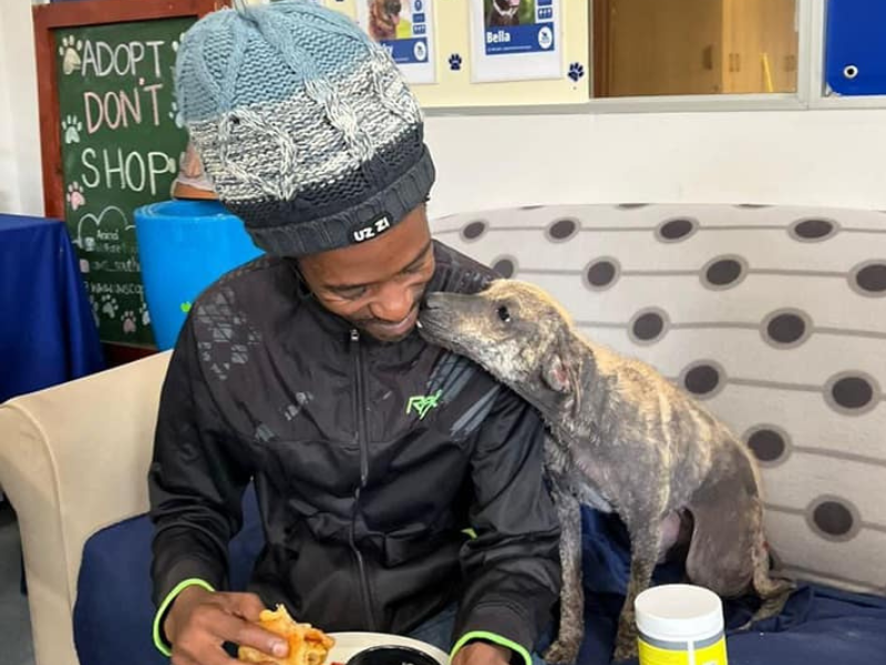 A man is sitting eating breakfast with his dog licking his face