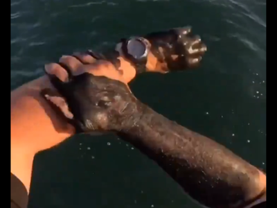 Man reminds us not to mess with squid ink - Vimarsana News
