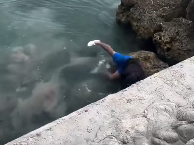 A man slips on a rock and almost falls into the water