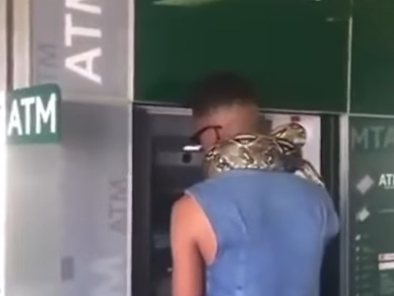 A man withdrawing money from an ATM with a snake around his neck