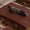 A mopane worm protein bar with chocolate