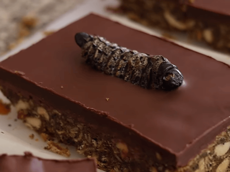 A mopane worm protein bar with chocolate