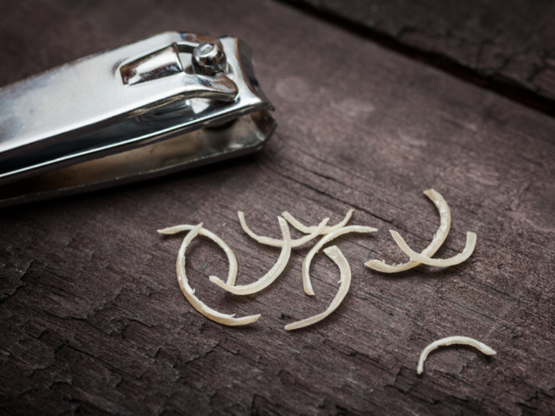 A nail clipper with nail clippings